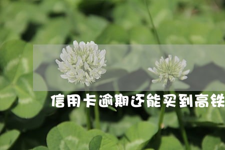 信用卡逾期还能买到高铁票吗 信用卡逾期还能买到高铁票吗