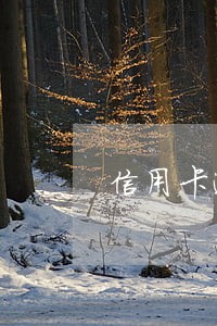 信用卡逾期还能买店面么 信用卡逾期还能买店面么