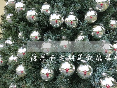 信用卡逾期还能从银行贷款吗 信用卡逾期还能从银行贷款吗