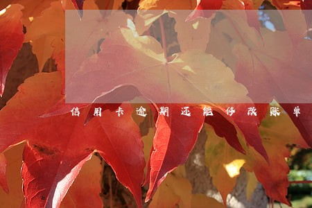 信用卡逾期还能修改账单日吗 信用卡逾期还能修改账单日吗