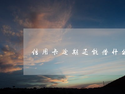 信用卡逾期还能借什么网贷 信用卡逾期还能借什么网贷