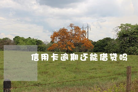 信用卡逾期还能借贷吗