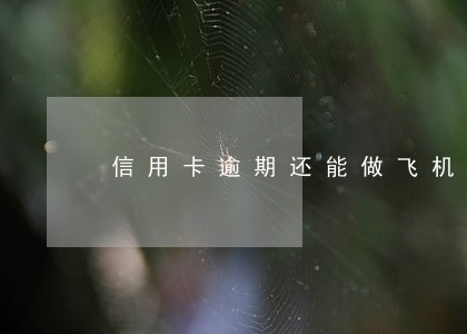 信用卡逾期还能做飞机么 信用卡逾期还能做飞机么