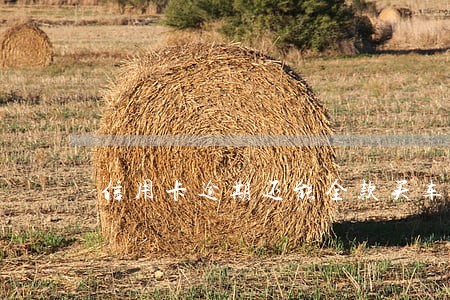 信用卡逾期还能全款买车 信用卡逾期还能全款买车