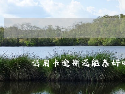 信用卡逾期还能养好吗 信用卡逾期还能养好吗
