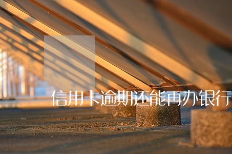 信用卡逾期还能再办银行卡吗 信用卡逾期还能再办银行卡吗