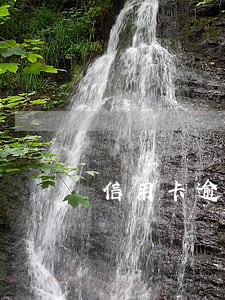 信用卡逾期还能再次办理吗 信用卡逾期还能再次办理吗