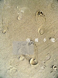 信用卡逾期还能再用 信用卡逾期还能再用