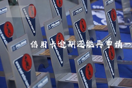 信用卡逾期还能再申请一张卡吗 信用卡逾期还能再申请一张卡吗