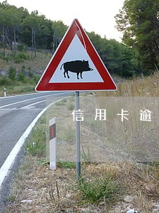 信用卡逾期还能出国务工吗