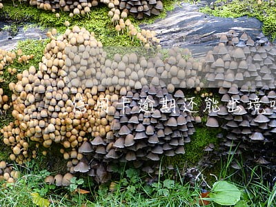 信用卡逾期还能出境吗