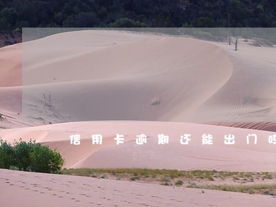 信用卡逾期还能出门吗 信用卡逾期还能出门吗