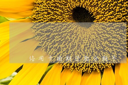 信用卡逾期还能分期不 信用卡逾期还能分期不