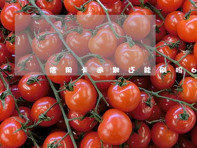 信用卡逾期还能刷吗6 信用卡逾期还能刷吗6
