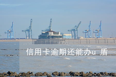 信用卡逾期还能办u盾 信用卡逾期还能办u盾