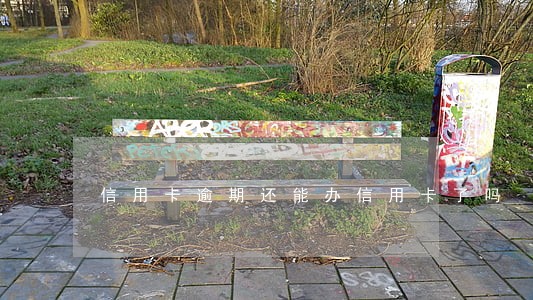 信用卡逾期还能办信用卡了吗