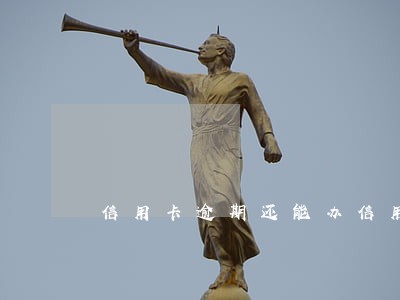 信用卡逾期还能办信用卡嘛 信用卡逾期还能办信用卡嘛
