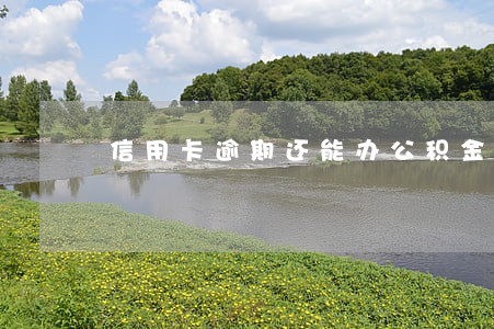 信用卡逾期还能办公积金吗