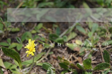 信用卡逾期还能办其他信用卡 信用卡逾期还能办其他信用卡