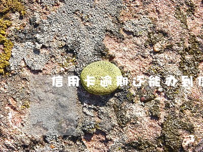信用卡逾期还能办到信用卡吗 信用卡逾期还能办到信用卡吗