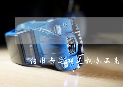 信用卡逾期还能办工商 信用卡逾期还能办工商