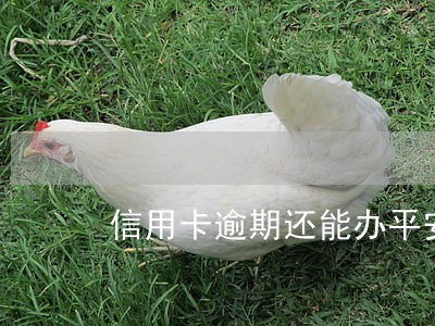 信用卡逾期还能办平安