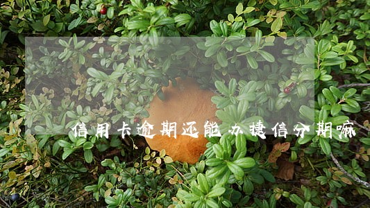 信用卡逾期还能办捷信分期嘛
