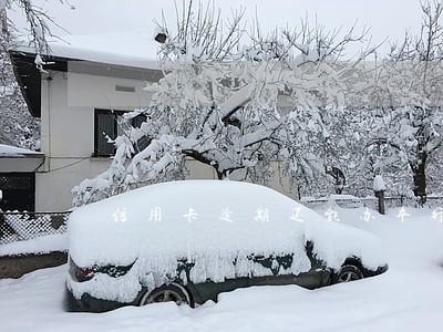 信用卡逾期还能办本行银行卡吗