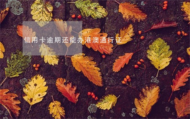 信用卡逾期还能办港澳通行证 信用卡逾期还能办港澳通行证