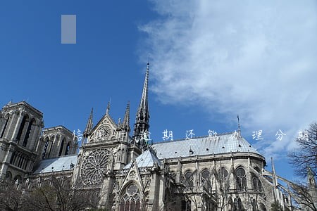 信用卡逾期还能办理分期购物吗 信用卡逾期还能办理分期购物吗