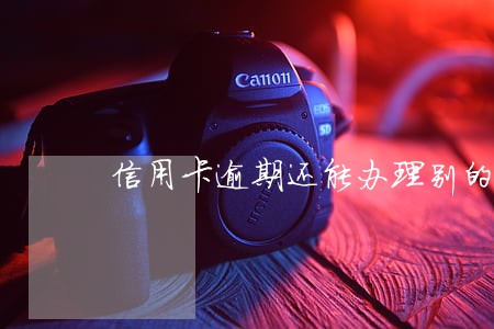 信用卡逾期还能办理别的储蓄卡吗 信用卡逾期还能办理别的储蓄卡吗