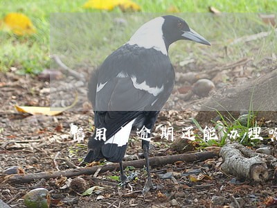 信用卡逾期还能办理嘛 信用卡逾期还能办理嘛