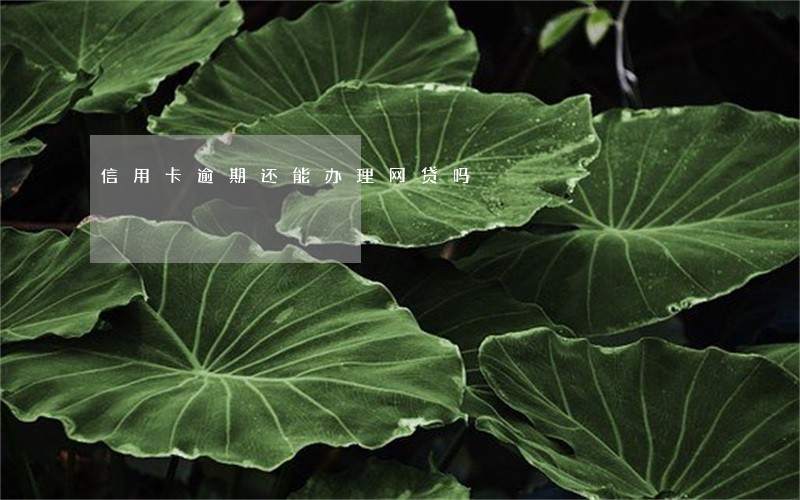 信用卡逾期还能办理网贷吗 信用卡逾期还能办理网贷吗