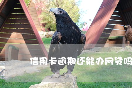 信用卡逾期还能办网贷吗 信用卡逾期还能办网贷吗