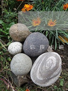信用卡逾期还能办通行证吗