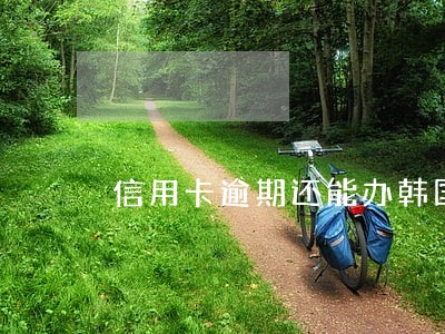 信用卡逾期还能办韩国签证吗 信用卡逾期还能办韩国签证吗