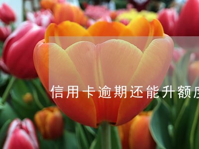 信用卡逾期还能升额度 信用卡逾期还能升额度
