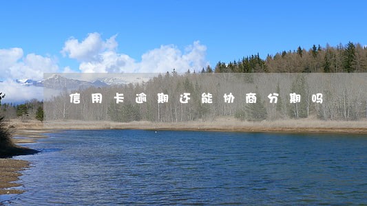 信用卡逾期还能协商分期吗
