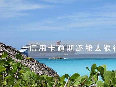 信用卡逾期还能去银行提现吗 信用卡逾期还能去银行提现吗