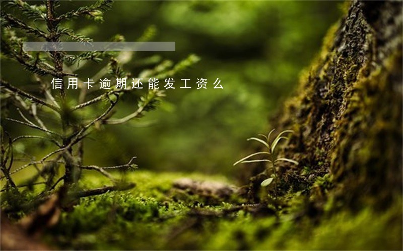 信用卡逾期还能发工资么 信用卡逾期还能发工资么