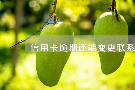 信用卡逾期还能变更联系方式吗 信用卡逾期还能变更联系方式吗