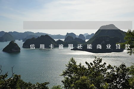 信用卡逾期还能商业贷款吗 信用卡逾期还能商业贷款吗