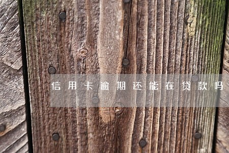 信用卡逾期还能在贷款吗 信用卡逾期还能在贷款吗