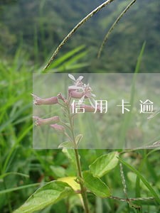 信用卡逾期还能坐飞机吗