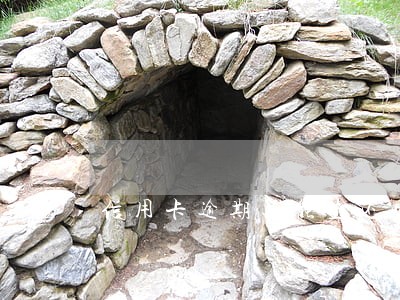 信用卡逾期还能垫还吗 信用卡逾期还能垫还吗
