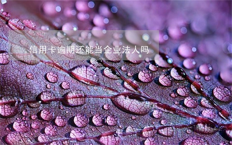 信用卡逾期还能当企业法人吗 信用卡逾期还能当企业法人吗