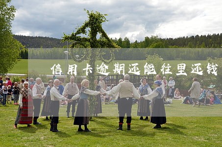 信用卡逾期还能往里还钱吗 信用卡逾期还能往里还钱吗