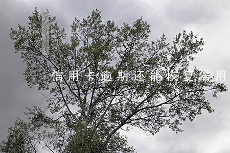 信用卡逾期还能恢复信用度吗 信用卡逾期还能恢复信用度吗