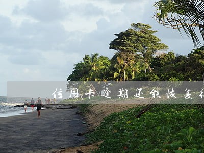 信用卡逾期还能恢复征信吗 信用卡逾期还能恢复征信吗