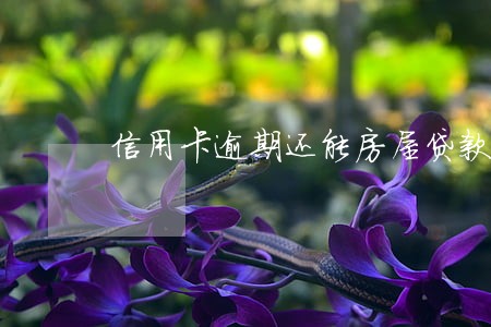 信用卡逾期还能房屋贷款 信用卡逾期还能房屋贷款